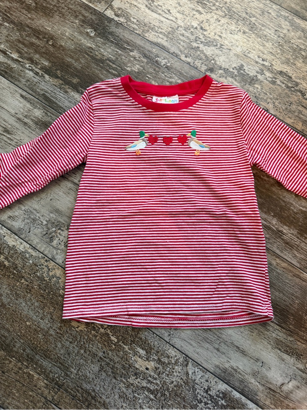 Striped Red Long-Sleeve Kids Top with Bird Embroidery